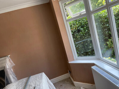 Solid wall plastering with backing coat